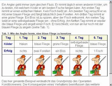 Arbeitsfenster