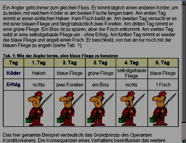 Arbeitsfenster