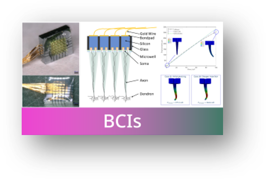 BCI Project