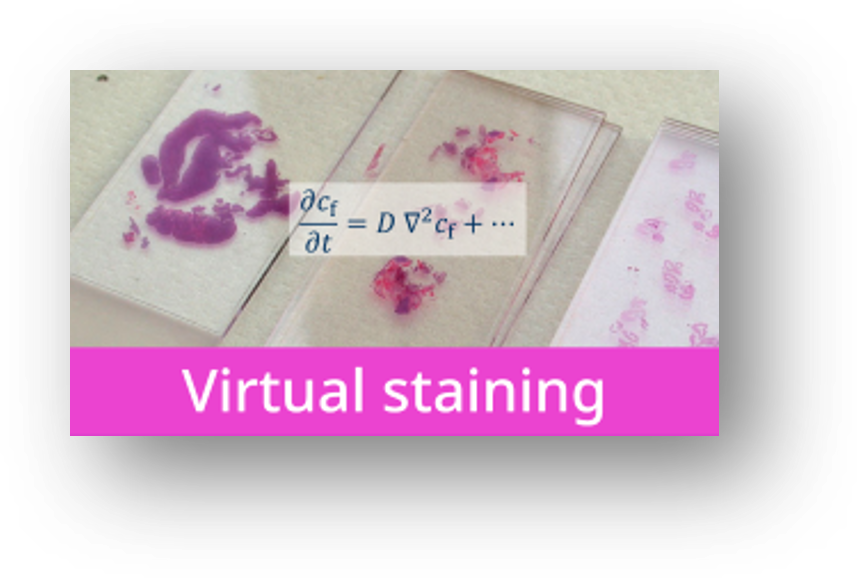 Virtual Staining Project